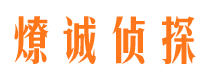 巍山市场调查